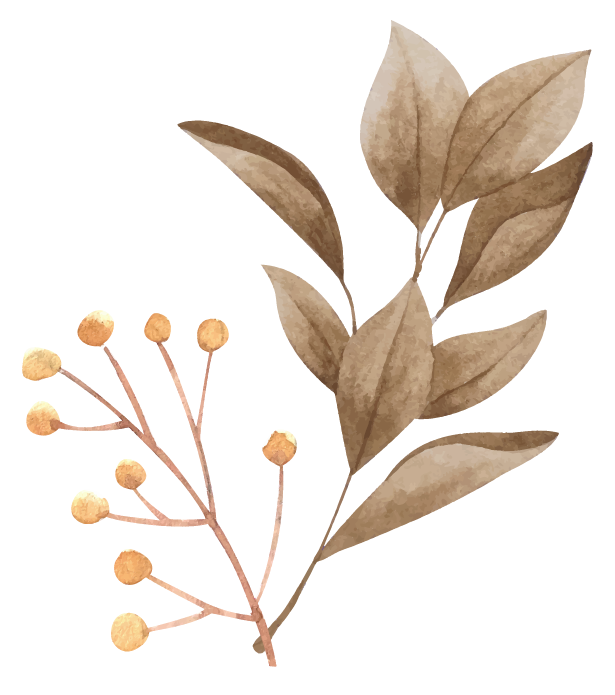 3 2 e1677133595495 1.png