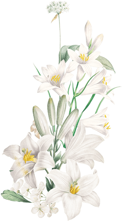 2flower.png