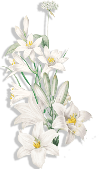 Flower vertikal.png