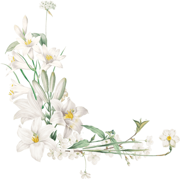 Flower.png