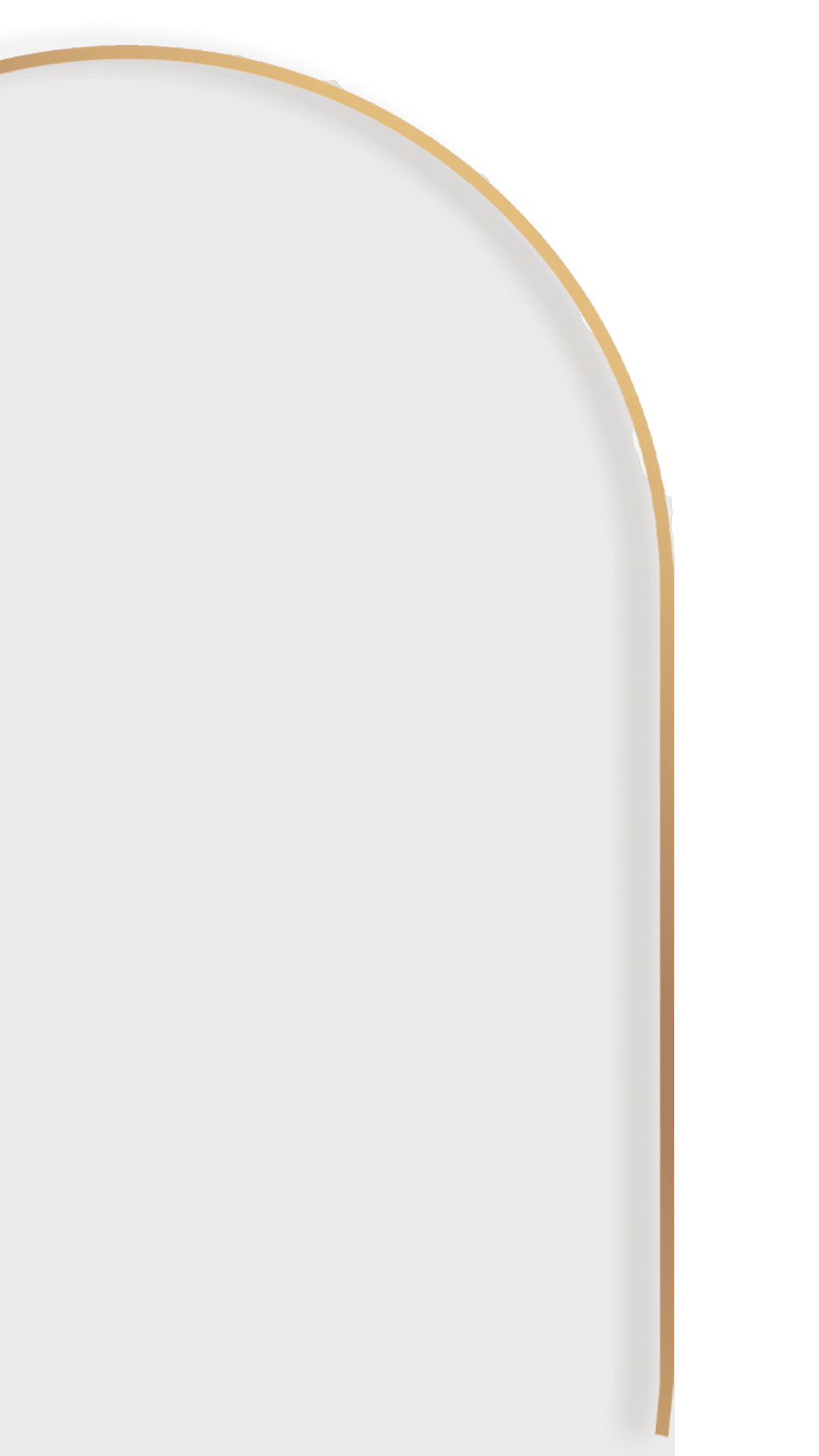 Shape background.png