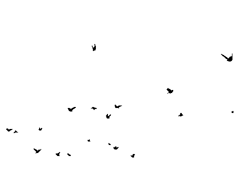 Giphy 1 1.gif